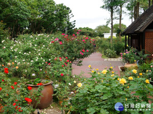 台北玫瑰園（圖／公園處提供）