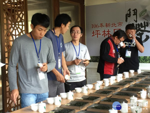 坪林茶農鬥茶　彼此觀摩分享製茶經驗