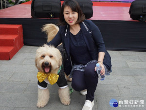 全國村里家犬絕育賽，比賽成績出爐，板橋區榮獲六都冠軍。（圖／記者黃村杉攝）