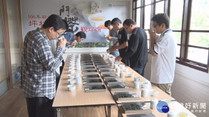 坪林冬季鬥茶觀摩　品評優質文山包種茶