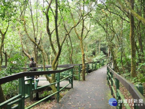 大崙頭木棧道（圖／大地處提供）