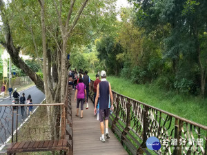 太平辦健行野餐。林重鎣攝