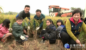 南隘國小稻米收成 「珍隘米」粒粒皆辛苦