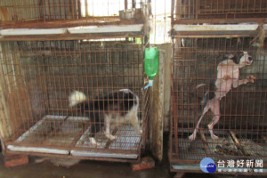 動保處將加強稽查寵物美容業違法從事特定寵物寄養行為，將依違反動物保護法第25-2條規定處10萬元以上300萬元以下罰鍰。