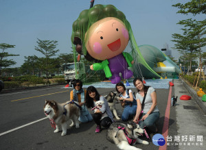 花媽大氣球於12/15上午在時代大道上測試，引發民眾的圍觀和討論。（圖／記者潘姿瑛攝）