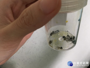 媽媽坐月子才接受膽結石手術並冷凍母乳。（南投醫院提供）