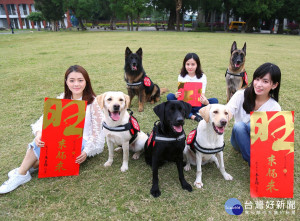 新北市政府在狗年特別推出「旺來福來」春聯，祝福大家在新的一年能夠「運勢旺，福氣來，旺來福來」，狗年行大運。（圖／新聞局提供）