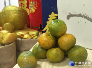 板橋及三重批發市場場區內水果品項眾多，2月10日至2月15日年前加強作業，提供24小時不打烊服務。（圖／記者黃村杉攝）