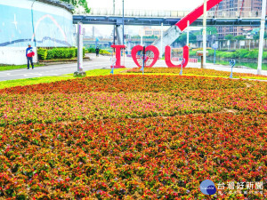 成美河濱花海陪戀人歡度情人節（圖／北市水利工程處提供）