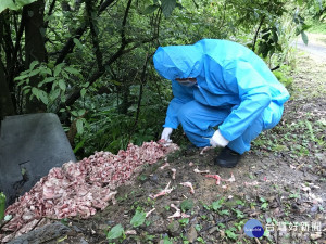 雞腿肉、雞骨雞翅等約有3噸食品工廠加工品遭棄置路邊。（圖／動保處提供）