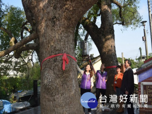 

  外埔區永豐里已具一百五十餘年歷史的公婆樹，已成為一處自然優美的公園，由於樹充當月老事蹟頻傳，區公所將打造公婆見證古、今婚禮活動為2018國際花博暖身，爭取遊客潮，提升外埔觀光事業。（記者陳榮昌攝）


