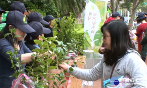 歡慶植樹月 林務局1200株樹苗贈民眾