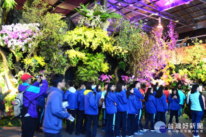 人山人海的民眾入園參觀正在台南舉行的臺灣國際蘭展。(圖/記者黃芳祿攝) 