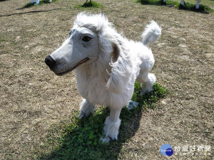 票選最喜愛的燈區，就有機會將「歡喜旺旺來」燈區2隻最夯的萌犬花燈抱回家典藏。（圖／民政局提供）