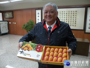太平農會總幹事余文欽拿著枇杷評鑑冠軍。林重鎣攝
