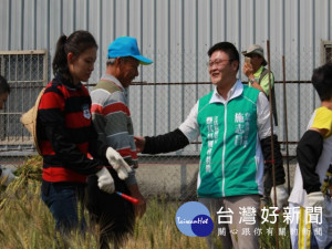 

 中市道卡斯青年工作會昨日在外埔土城里舉行親子割麥食農教育，民眾陪兒女體驗農村生活，同時品嚐小麥窯烤披薩，田園溫馨中還得熱鬧。（記者陳榮昌攝）
