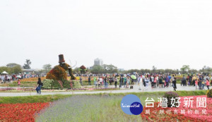 桃園彩色海芋季。

