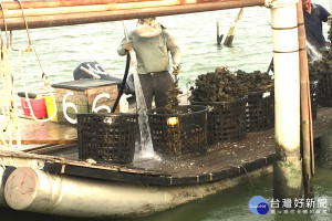 符合油料補貼的漁船或漁筏業者，動作要快，申請補助截止日將在3月底。(圖/記者黃芳祿攝) 