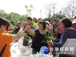 
立法院副院長蔡其昌響應植樹月，昨日於大甲溪畔生態公園舉辦「悠遊甲安埔-忘憂谷植樹種樹苗」活動，蔡其昌辦公室與林務局東勢林管處、農業局等單位，在場分送二千五百株樹苗供民眾帶回種植。（記者陳榮昌攝）