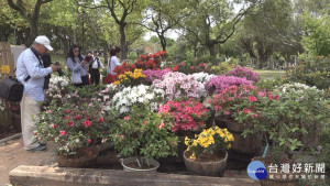 2018杜鵑花季野餐音樂會　賞花.嚐美食好愜意