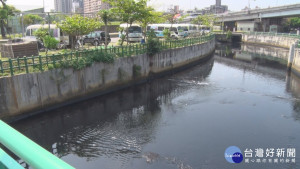 蘆洲大排臭氣熏天　李倩萍促徹底整治
