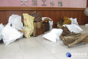 大溪分局宣布破獲山老鼠案，起出贓物等，將集團成員一一移送偵辦。(記者陳寶印攝)
