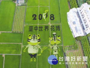 
外埔區農會耗資百萬元，在一公頃稻田中打造彩繪，由上頭的觀景台往下看，2018台中世界花博及Q板石虎的黑黃字跡鮮明，竣工後最近吸引不少民眾觀賞打卡。（記者陳榮昌攝）