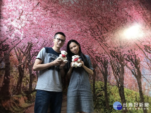 金山戶所三芝區所以「櫻花戀」為主題布景，讓新人攜手浪漫櫻花之旅，並贈送新人「心心相愛小熊禮盒」。（圖／民政局提供）