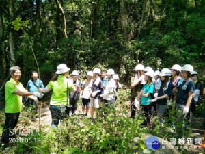 番路鄉草山村草山手作步道，跨界展現林、學、社合作成果