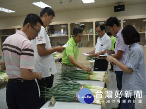 
大安區農會室舉行大安區優質青蔥評鑑，評鑑人員丈量蔥白等審查嚴格，競爭激烈中，蔥農黃鍵立獲得特等獎。（記者陳榮昌攝）