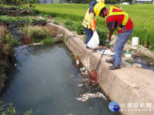 圖說:台中市楓樹里稻田及鄰近水溝出現白色液體跟死魚。（圖/臺中市政府環保局）
