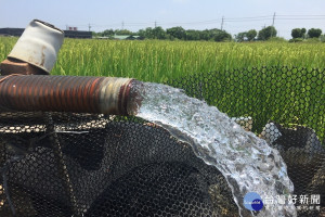 台南一期水稻缺水，稻農連忙抽地下井供水。(圖/記者黃芳祿攝) 