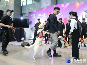 警察局警犬隊長潘天龍率緝毒犬現場做各種毒品查緝表演，展現新北打擊毒品的決心。（圖／記者黃村杉攝）