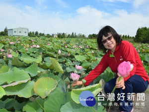 
后里中社觀光花市二千坪多品種的荷花盛開，，花卉迎風搖曳，淡淡的幽香陣陣舒暢心肺，吸引眾多遊客觀賞。（記者陳榮昌攝）
