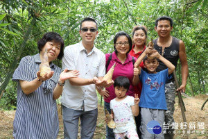 十三行博物館推出全新樂齡行程「觀音山田園趣」，首度帶樂齡朋友在產地直接享用口感有如水梨般的綠竹筍。（圖／十三行提供）