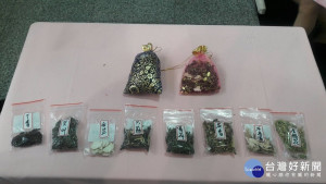 衛生福利部樂生療養院15日辦理端午活動，特別教導民眾防蚊包DIY。（圖／樂生提供）