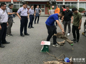 可疑人車進入山區　苗警埋伏逮獲2名山老鼠