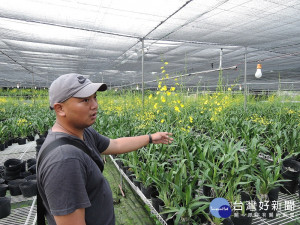 迎接台中花博 陳帝緯行銷在地花卉知名度