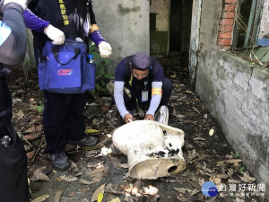 市府防疫團隊持續進行個案居住地及活動地孳生源檢查暨噴藥滅蚊工作。（圖／高雄市政府衛生局提供）