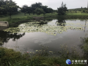 湖西生態池發現油花　澎縣環保局再罰中油600萬