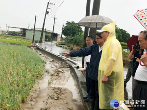 市長許立明前往梓官視察蔬菜產地農損。（圖／記者郭文君攝）