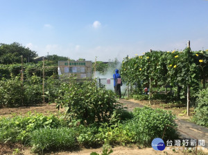 衛生局指案24與先前案22住家皆鄰近豐年菜園，研判感染與該菜園有關。（圖／衛生局提供）
