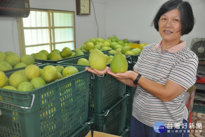 李玉蘭堅持友善栽培，栽種的文旦供親朋好友品嚐。