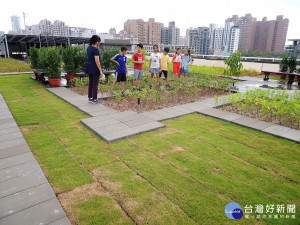 高雄獲全國低碳永續家園城市最高殊榮。（圖／記者郭文君攝）