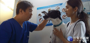 響應世界狂犬病日　北市動保處推宣導影片邀飼主留言拿好禮