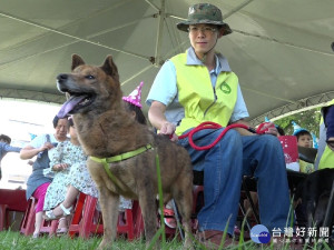 2018毛寶貝同樂會 10月7號北大公園登場