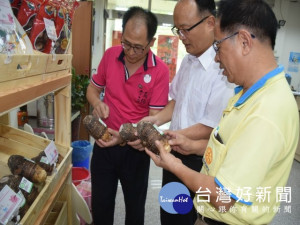 
台中中興扶輪社將連續舉辦兩場捐血活動，九日理事劉再發與廖禎松在大安農會總幹事蔡建宗介紹有身份證的芋頭之下，訂購六百份芋頭，將做為捐血人士禮物。（記者陳榮昌攝）