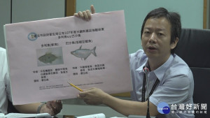 巴沙魚混充多利魚　馬辣火鍋標示不實開罰