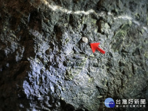 發現於中國大陸山東32億年前的鑽石礦。(圖/記者賴淑禎攝)