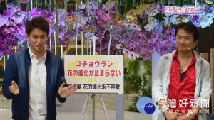 NHK《趣味的園藝》首度海外取景 向日本民眾介紹台中花博之美
